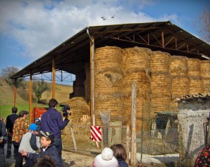 Fattoria didattica (17)